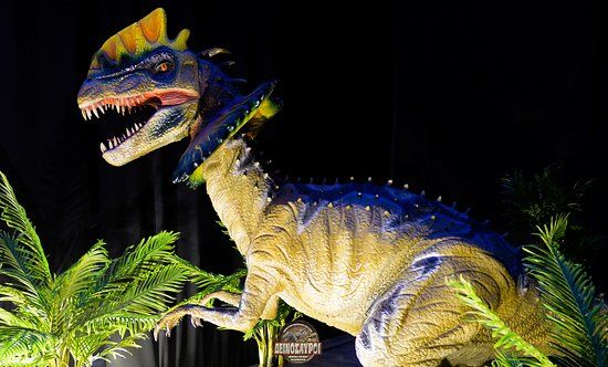 Theme Park and Dinosaurs Museum